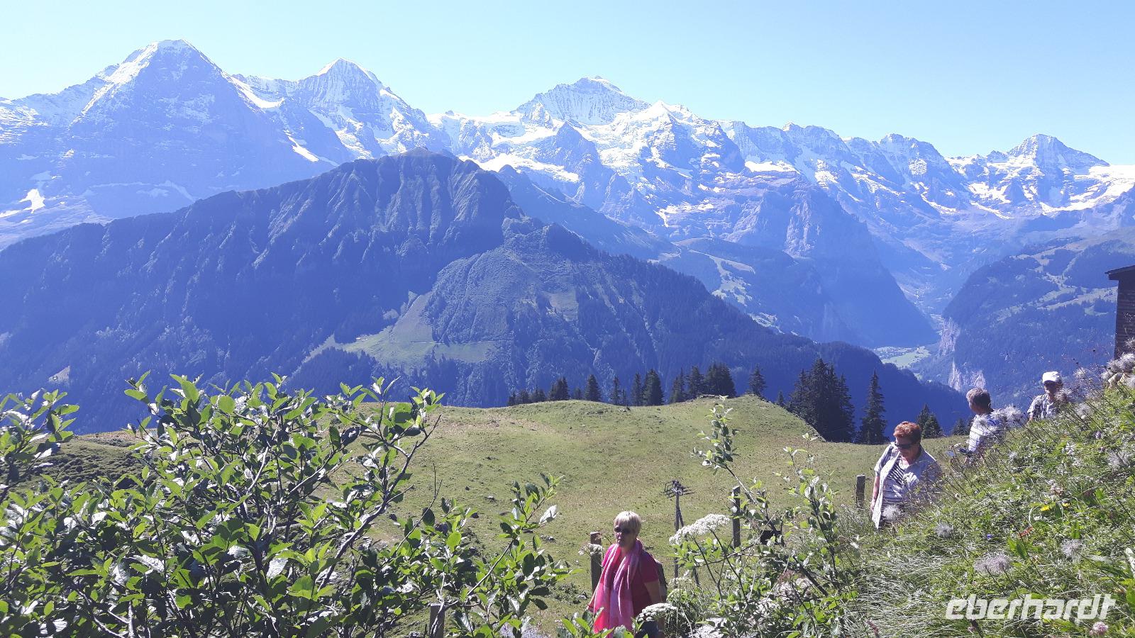 Schynige Platte (Alpengarten) &ndash; &copy; Katrin Deutschbein (Eberhardt TRAVEL)