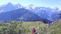 Schynige Platte (Alpengarten) &ndash; &copy; Katrin Deutschbein (Eberhardt TRAVEL)