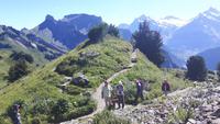 Schynige Platte (Alpengarten) &ndash; &copy; Katrin Deutschbein (Eberhardt TRAVEL)