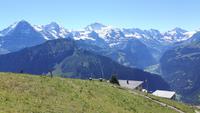 Schynige Platte &ndash; &copy; Katrin Deutschbein (Eberhardt TRAVEL)