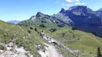 Schynige Platte &ndash; &copy; Katrin Deutschbein (Eberhardt TRAVEL)