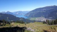 Fahrt auf die Schynige Platte (Blick zum Thuner See) &ndash; &copy; Katrin Deutschbein (Eberhardt TRAVEL)