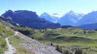 Schynige Platte &ndash; &copy; Katrin Deutschbein (Eberhardt TRAVEL)