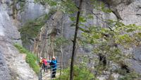 Aareschlucht