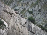 Am steilen Felsen trainieren Gebirgsspezialisten der Schweizer Armee das Abseilen