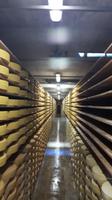 Käserei Le Gruyère (Käsekeller) &ndash; &copy; Katrin Deutschbein (Eberhardt TRAVEL)