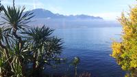 Genfer See (Promenade in Montreux &ndash; &copy; Katrin Deutschbein (Eberhardt TRAVEL)
