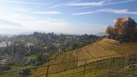 Fahrt mit dem Panoramic-Express &ndash; &copy; Katrin Deutschbein (Eberhardt TRAVEL)