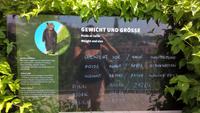 WP 20170528 13 44 21 Pro &ndash; &copy; Michaela Sailer (Eberhardt TRAVEL)