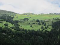 Zillis &ndash; &copy; Gisela Gerlach (Eberhardt TRAVEL)