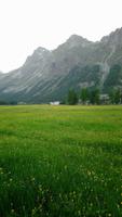 Sils,Schweiz