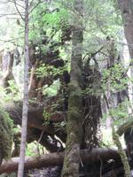 Ausflug zum Blausee &ndash; &copy; Annette Weise (Eberhardt TRAVEL)