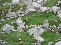 P1040808 &ndash; &copy; Annette Weise (Eberhardt TRAVEL)
