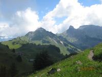 Besuch des Alpengartens auf der Schynige Platte &ndash; &copy; Johanna Vogt (Eberhardt TRAVEL)