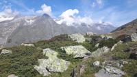 Zermatt (Rothorn - Wanderung auf dem 