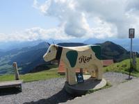 Auf der Rigi &ndash; &copy; Annette Weise (Eberhardt TRAVEL)
