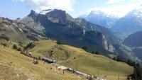 Schynige Platte &ndash; &copy; Gisela Gerlach (Eberhardt TRAVEL)