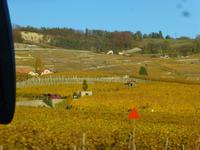 Weingebiet Lavaux &ndash; &copy; Kerstin Hugel (Eberhardt TRAVEL)