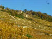 Weingebiet Lavaux &ndash; &copy; Kerstin Hugel (Eberhardt TRAVEL)