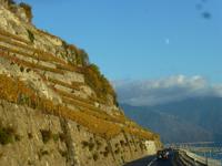 Weingebiet Lavaux &ndash; &copy; Kerstin Hugel (Eberhardt TRAVEL)