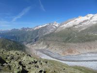 Bettmerhorn - Blick zum Aletschgletscher &ndash; &copy; Annette Weise (Eberhardt TRAVEL)