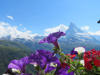 Zermatt - Matterhorn &ndash; &copy; Annette Weise (Eberhardt TRAVEL)