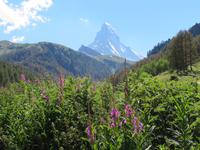 Zermatt - Matterhorn &ndash; &copy; Annette Weise (Eberhardt TRAVEL)