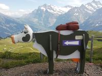 Auf dem Männlichen &ndash; &copy; Martina Pötschke (Eberhardt TRAVEL)