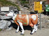 Auf Schynige Platte &ndash; &copy; Martina Pötschke (Eberhardt TRAVEL)