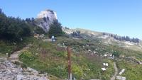 Schynige Platte (Wanderung zum Aussichtspunkt 