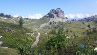 Schynige Platte (Wanderung zum Aussichtspunkt 
