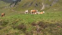Brienzer Rothorn, Fahrt mit der Dampfbahn &ndash; &copy; Gisela Gerlach (Eberhardt TRAVEL)