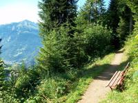 Auf dem Harder Kulm &ndash; &copy; Steffen Mucke (Eberhardt TRAVEL)