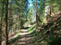 Auf dem Harder Kulm &ndash; &copy; Steffen Mucke (Eberhardt TRAVEL)