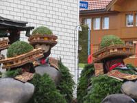 Silvesterchläuse - die Schön-Wüschte-Chläus &ndash; &copy; Annette Weise (Eberhardt TRAVEL)