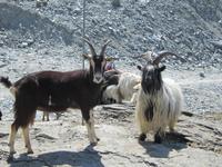 auf dem Plattjen &ndash; &copy; Gisela Gerlach (Eberhardt TRAVEL)