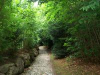 Hohle Gasse &ndash; &copy; Steffen Mucke (Eberhardt TRAVEL)