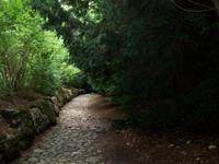 Hohle Gasse &ndash; &copy; Steffen Mucke (Eberhardt TRAVEL)