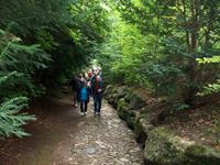 Hohle Gasse &ndash; &copy; Steffen Mucke (Eberhardt TRAVEL)