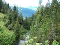 Davos, Schatzalp