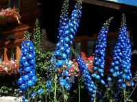 Zermatt &ndash; &copy; Steffen Mucke (Eberhardt TRAVEL)