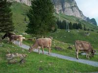 Schwägalp &ndash; &copy; Steffen Mucke (Eberhardt TRAVEL)