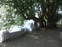 Locarno &ndash; &copy; Peter Großer (Eberhardt TRAVEL)