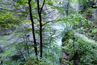 Aareschlucht &ndash; &copy; Andreas Kunzmann (Eberhardt TRAVEL)