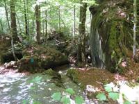 Naturpark Blausee &ndash; &copy; Annette Weise (Eberhardt TRAVEL)