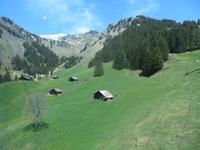 Talfahrt vom First &ndash; &copy; Annette Weise (Eberhardt TRAVEL)
