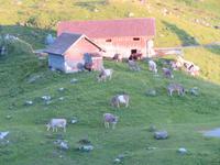 Schwägalp &ndash; &copy; Annette Weise (Eberhardt TRAVEL)
