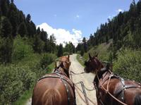 Unsere Kutschfahrt &ndash; &copy; Uta Schöne (Eberhardt TRAVEL)