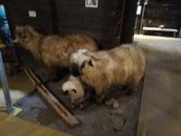 Zermatt, Museum &ndash; &copy; Gisela Gerlach (Eberhardt TRAVEL)