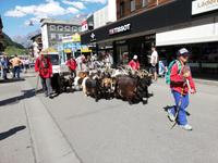 Zermatt &ndash; &copy; Gisela Gerlach (Eberhardt TRAVEL)